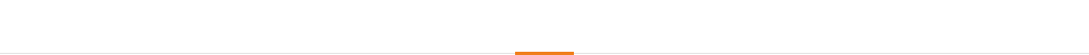 公司优势